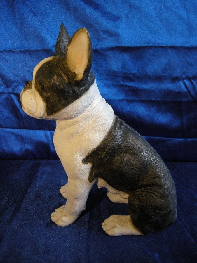 Bostonterrier Stor fin hund-figurin Charmig