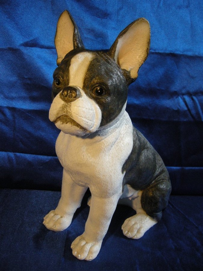 Bostonterrier Stor fin hund-figurin Charmig