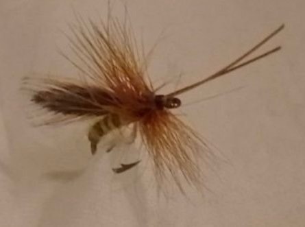 Flugfiske - Gunnars favoriter öring (Korken Streaking Caddis Europa) 21st