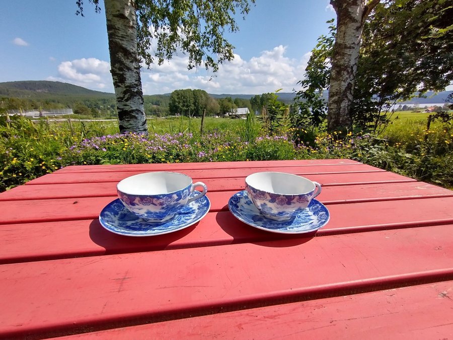 2 BLÅ KAFFEKOPPAR MED FAT I PORSLIN RETRO/VINTAGE 1940/50-TAL I BRA SKICK