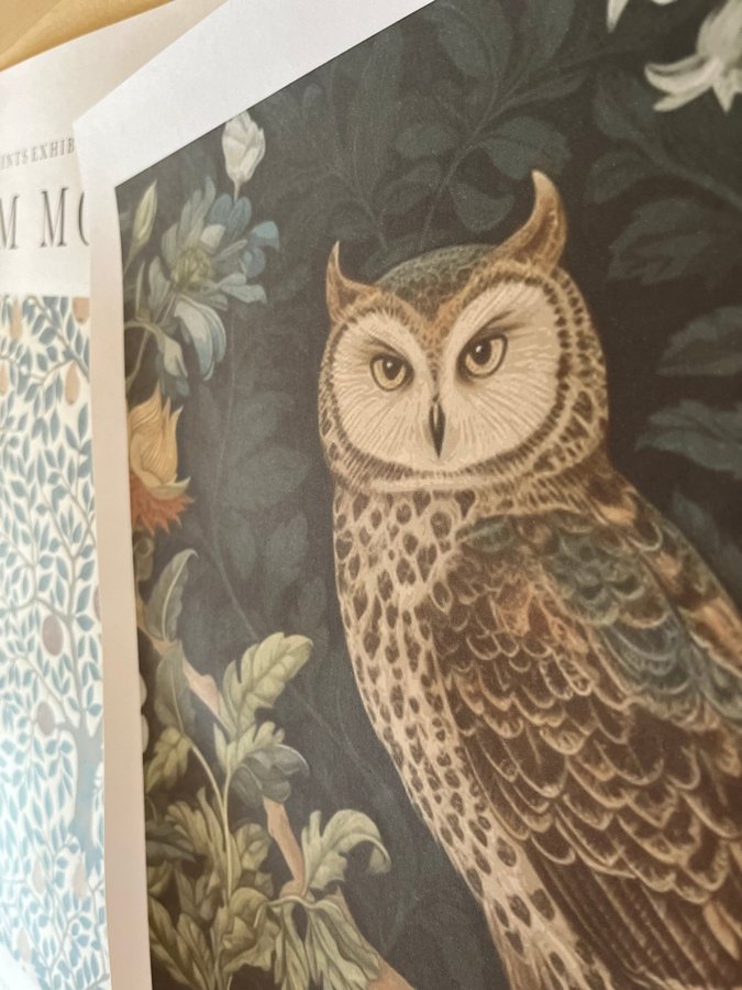 Poster A3 William Morris ”Owl Print”