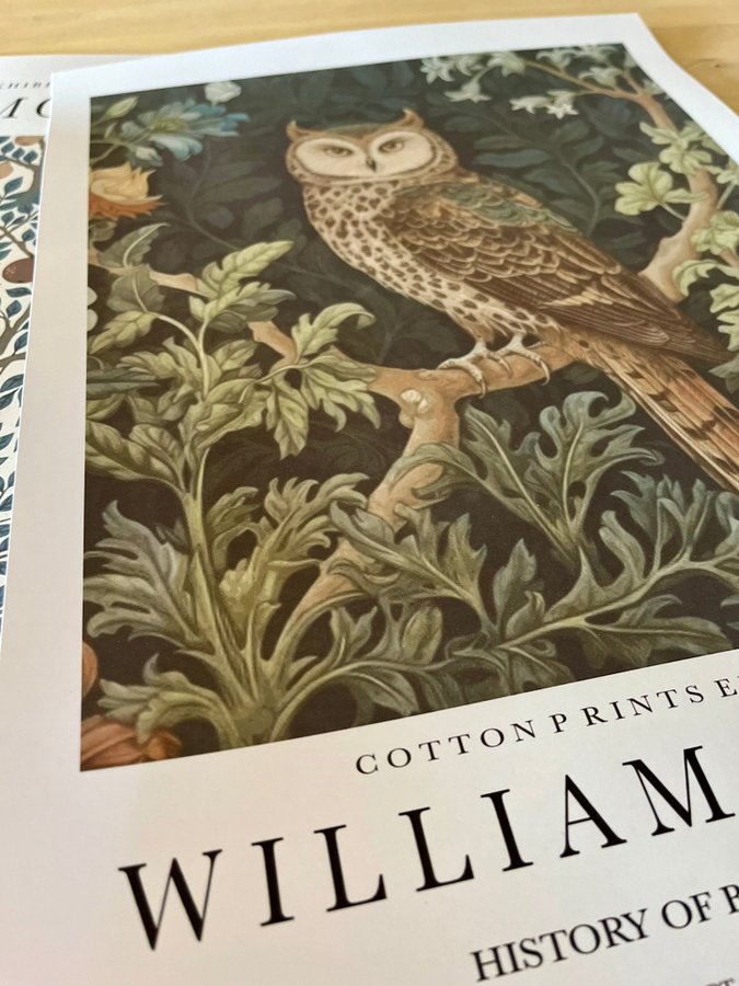 Poster A3 William Morris ”Owl Print”