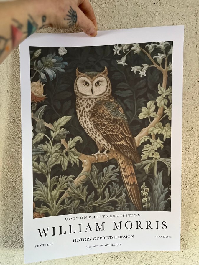 Poster A3 William Morris ”Owl Print”