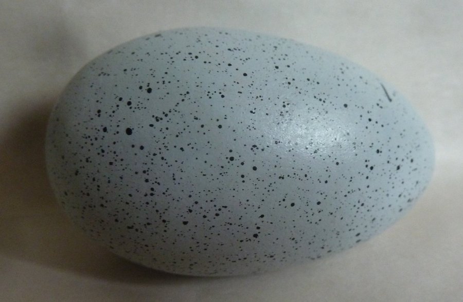 Ljusblått Ägg keramik/lera? med mörka prickar i olika storlekar H 69cm Ø 45cm