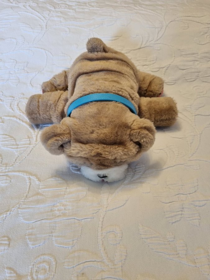 Little Live Pets Rollie My Kissing Puppy Plush Toy