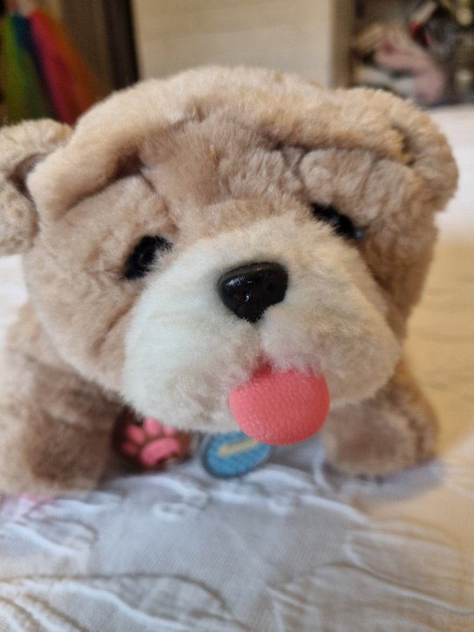 Little Live Pets Rollie My Kissing Puppy Plush Toy