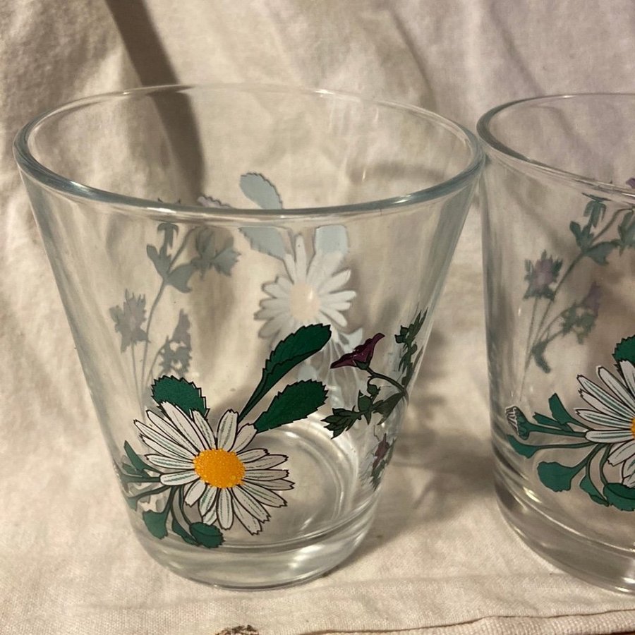 Glas m blomdekor sommarblommor saftglas dricksglas i sommartid LÄS