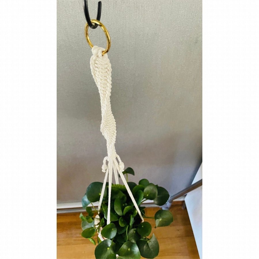 Makramé ampel/plant hanger