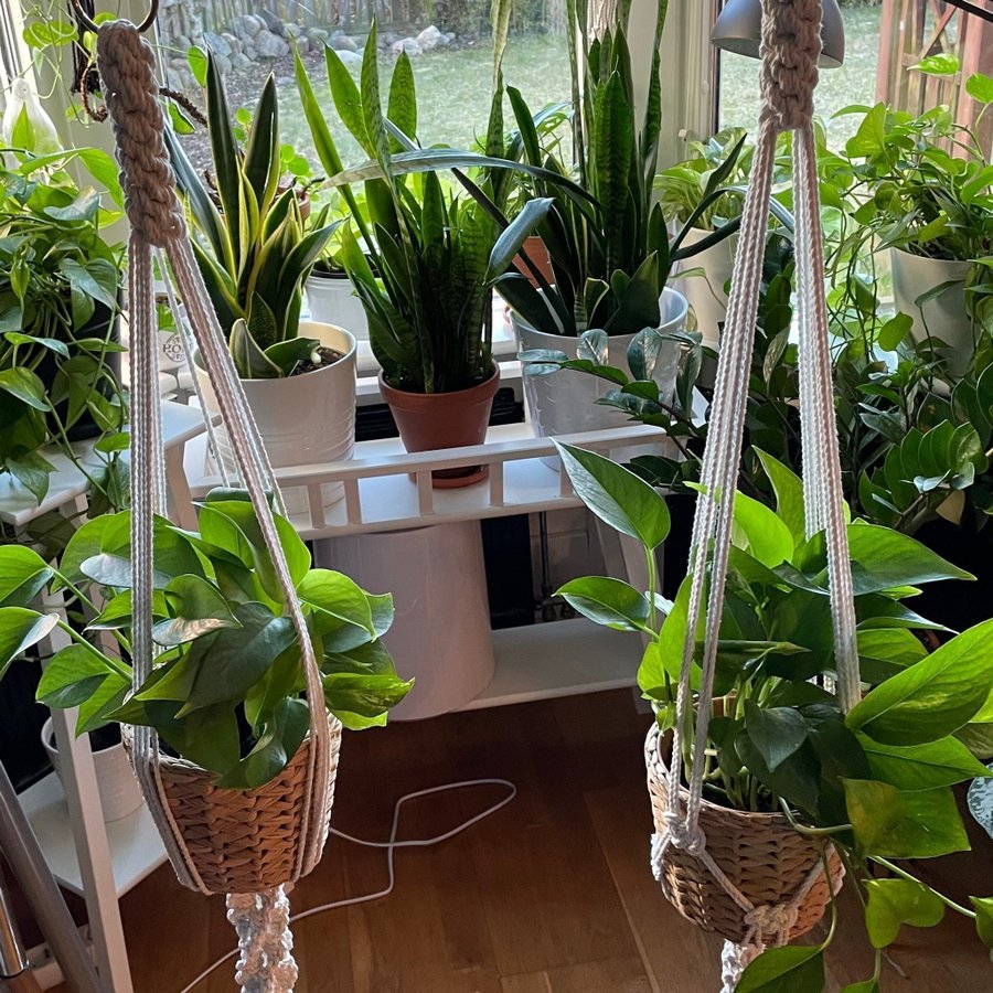 2 stycken amplar i makramé /plant hanger