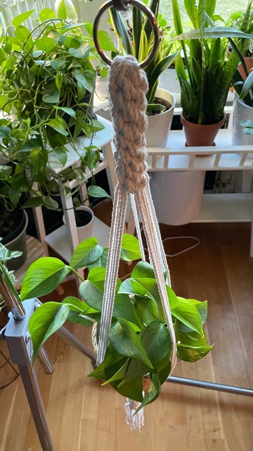 2 stycken amplar i makramé /plant hanger