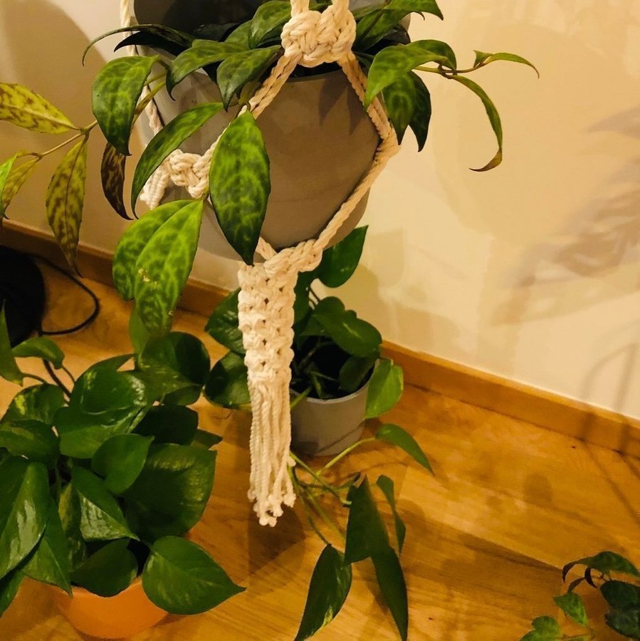 Stor ampel i makramé /plant hanger