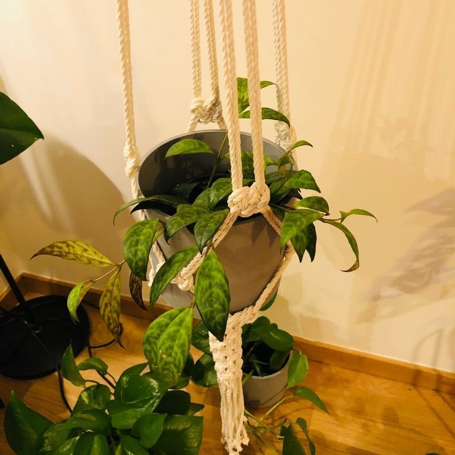 Stor ampel i makramé /plant hanger