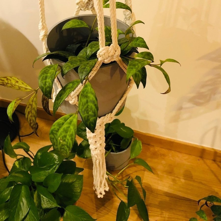 Stor ampel i makramé /plant hanger