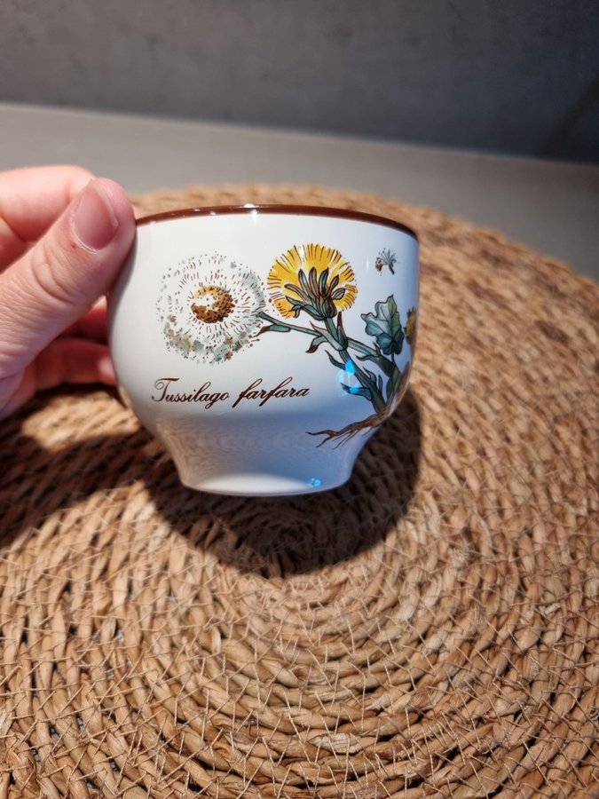 Villeroy  Boch, Luxembourg, skål med Tussilago Farfara