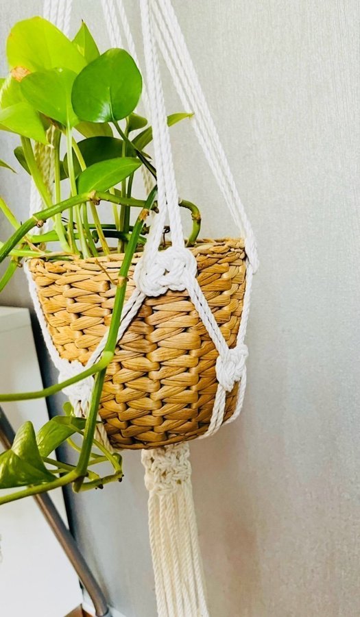 Ampel i makramé /plant hanger