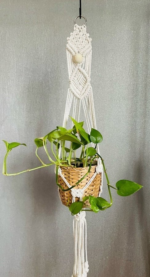 Ampel i makramé /plant hanger