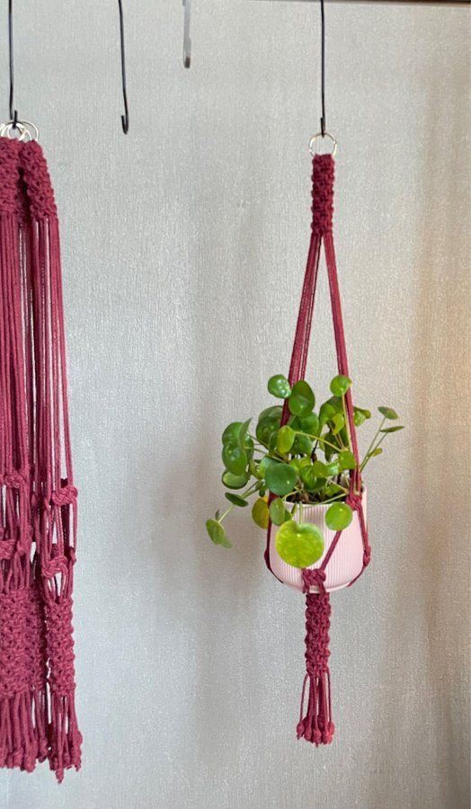 Ampel i makramé /plant hanger/ inredning med växter