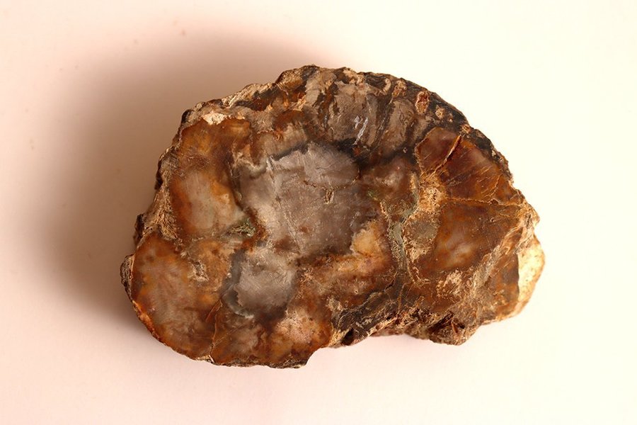 Förstenat Trä - 129 gram - Madagaskar - Fossil
