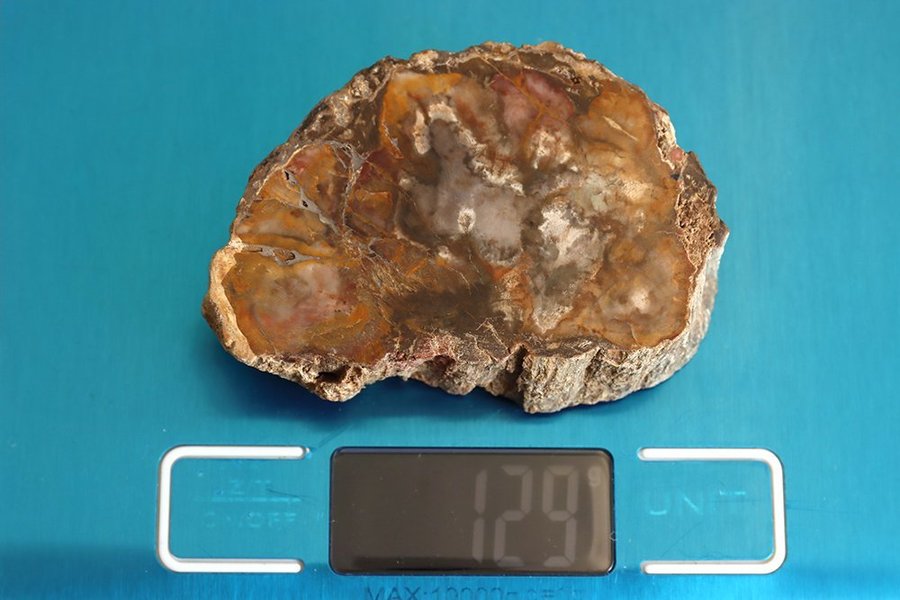 Förstenat Trä - 129 gram - Madagaskar - Fossil