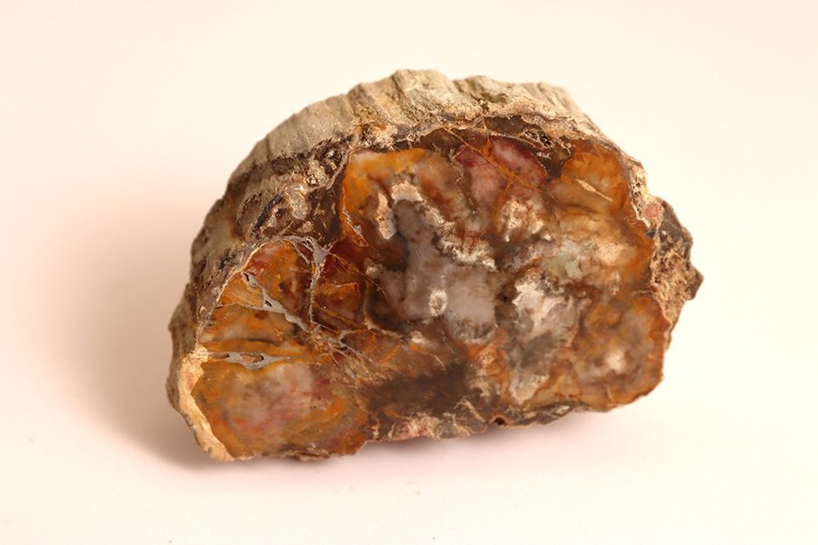Förstenat Trä - 129 gram - Madagaskar - Fossil
