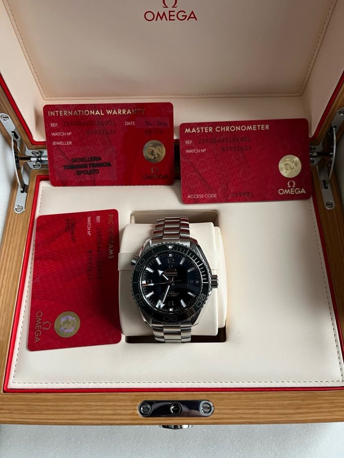 Omega Seamaster Planet Ocean 600M