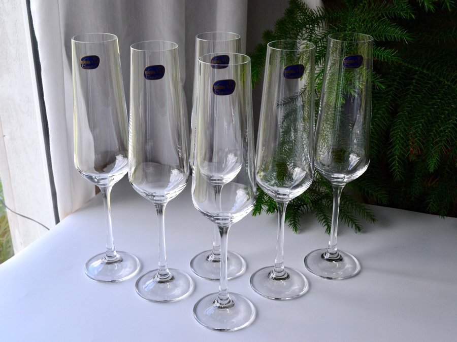 6 st CHAMPAGNEGLAS ”SANDRA” BÖHMISK/ BOHEMIA kristall CRYSTALEX TJECKIEN