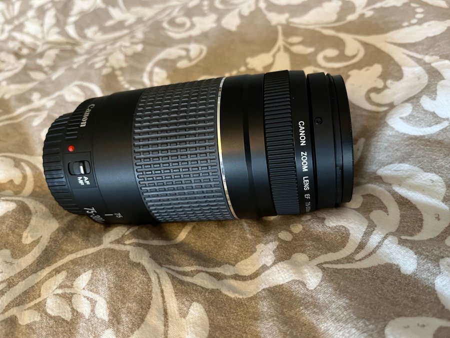 Canon EF 75-300mm f/4-56 III Objektiv