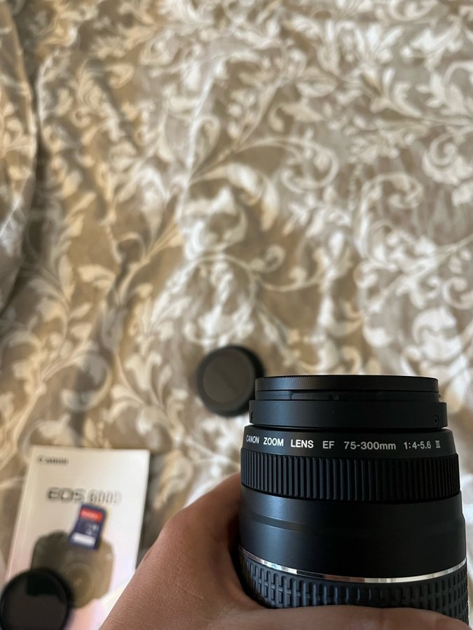 Canon EF 75-300mm f/4-56 III Objektiv