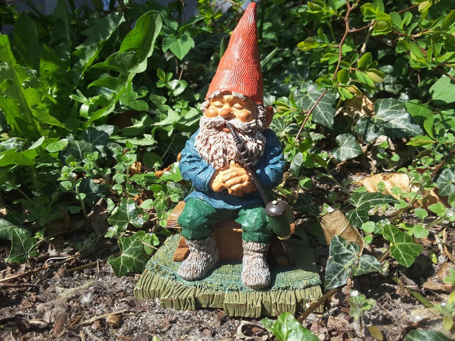 Gnomes Tomtar Rien Poortvliet