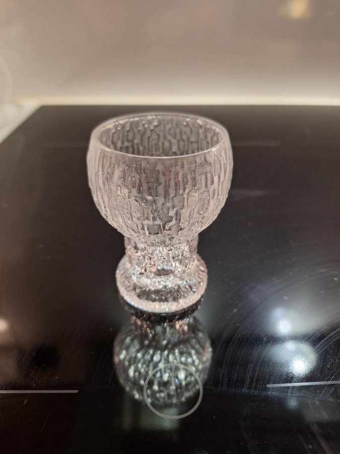 Likörglas Iittala / Kekkerit