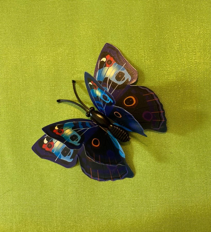 Underbara fjärilar som gör dig glad!