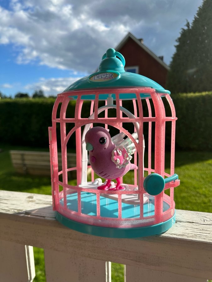 Little Live Pets - Fågel i bur