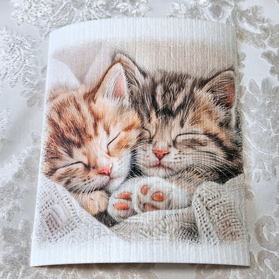 Disktrasa med tryck wettex print två ursöta kattungar sovande I pled