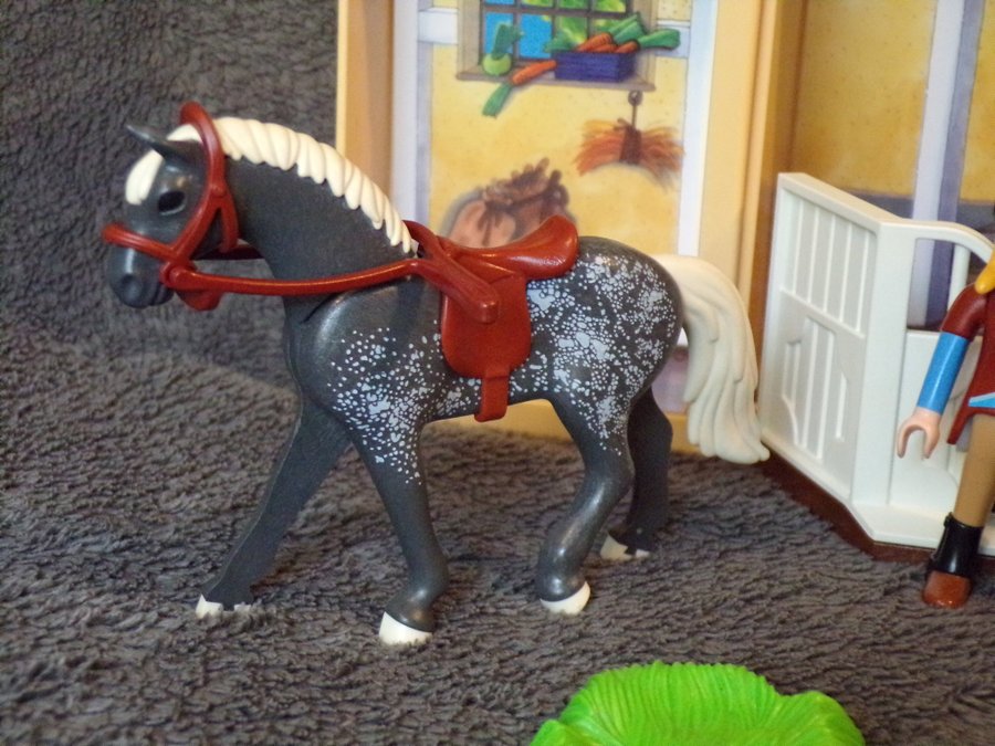 Playmobil 5418 My secret playbox – Horse stable