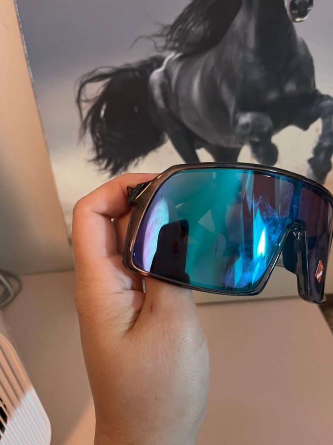 Oakley Sutro Prizm Road Jade Sport solglasögon brillor sportglasögon träning