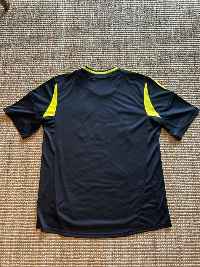 AIK 2012/13 fotbollströja