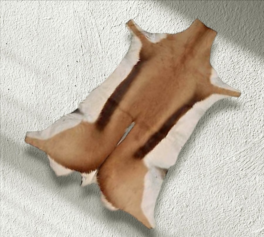 Lyxig springbock Skinn matta ( Deer Antilope Skin rug)