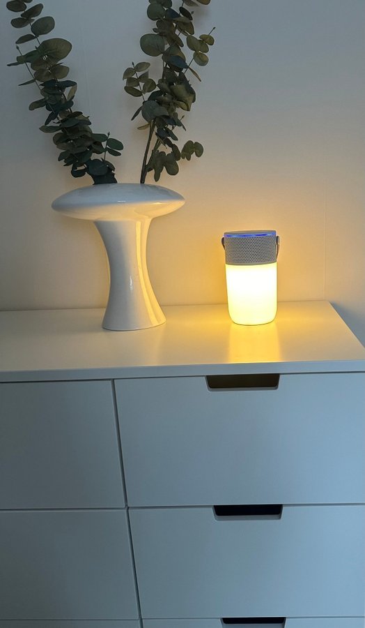 aGLOW Bluetooth Högtalare Vit/Vit LED-Lampa