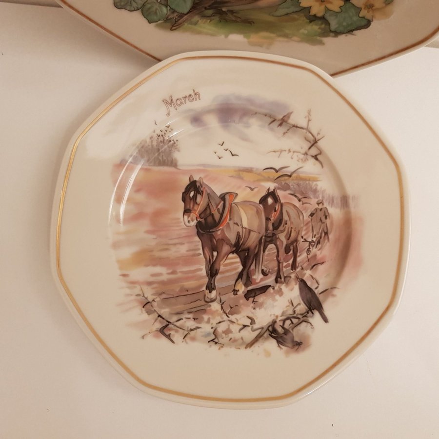 Heinrich Tyskland Villeroy  Boch Set med 2 assiett