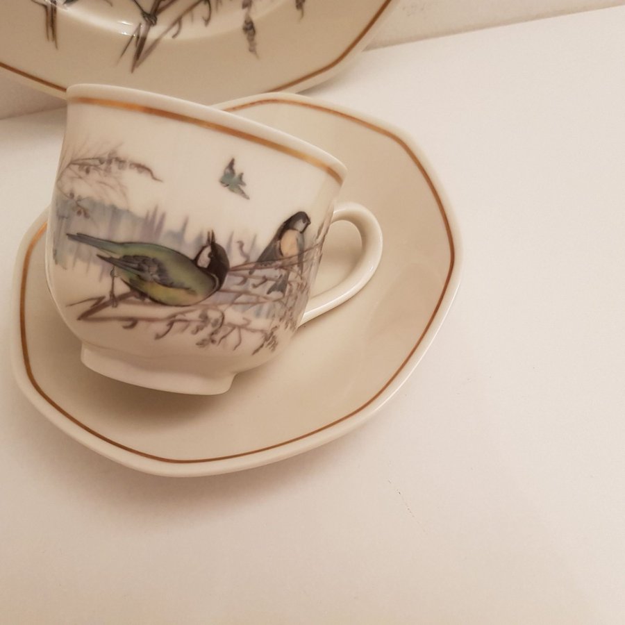 Heinrich Tyskland Villeroy  Boch Set med 1 tekopp/Kaffekopp med assiett