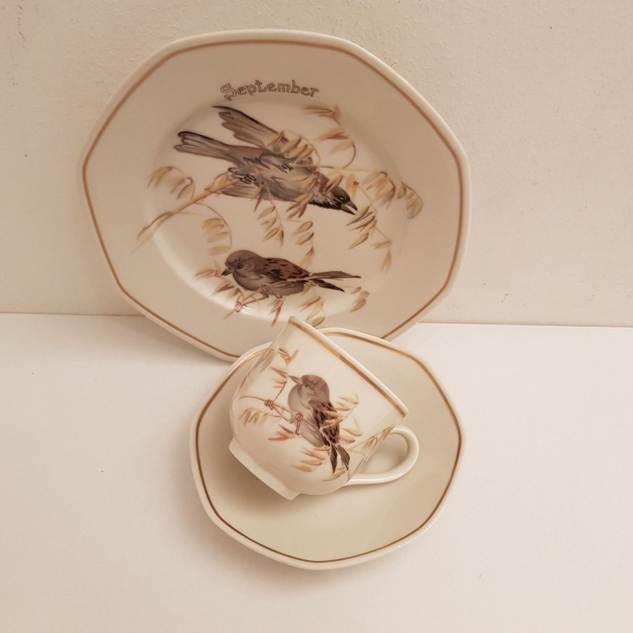 Heinrich Tyskland Villeroy  Boch Set med 1 tekopp/Kaffekopp med assiett