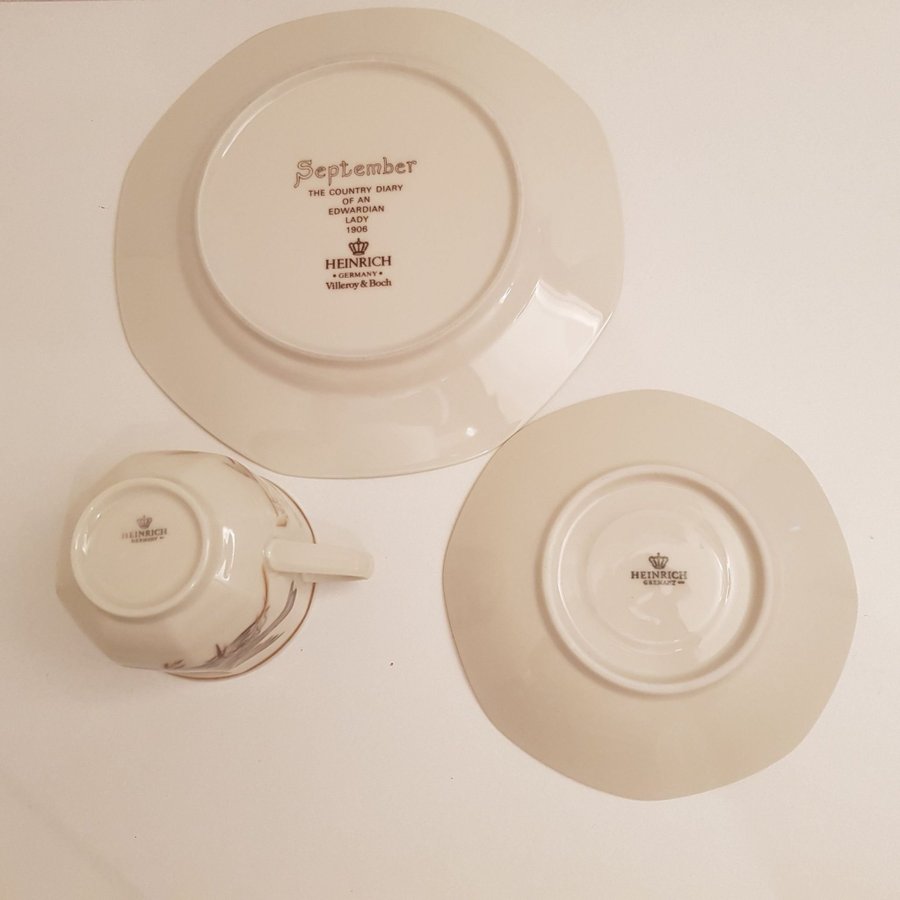 Heinrich Tyskland Villeroy  Boch Set med 1 tekopp/Kaffekopp med assiett