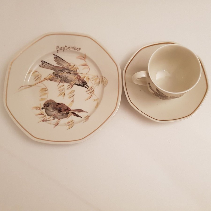 Heinrich Tyskland Villeroy  Boch Set med 1 tekopp/Kaffekopp med assiett