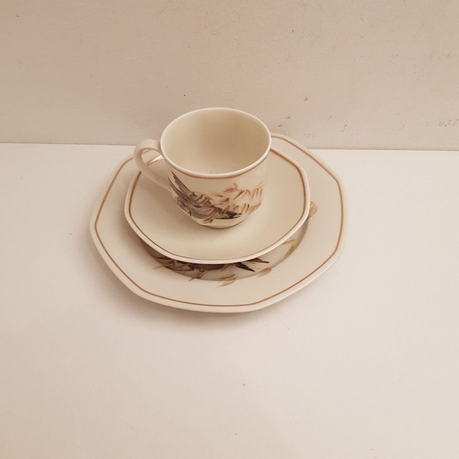 Heinrich Tyskland Villeroy  Boch Set med 1 tekopp/Kaffekopp med assiett