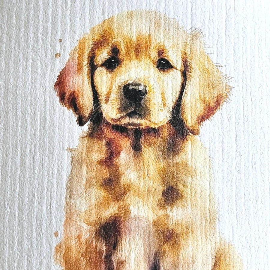 Disktrasa wettex duk med tryck print golden retriever hund valp