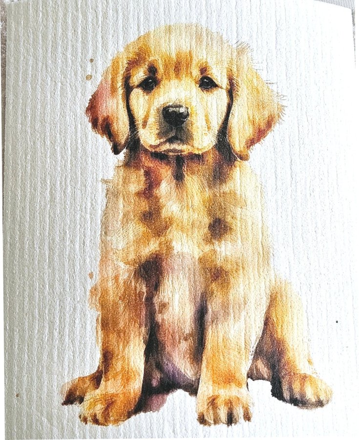 Disktrasa wettex duk med tryck print golden retriever hund valp