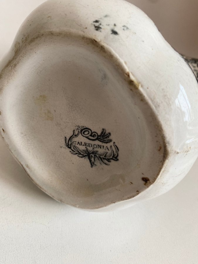 Rare 19th Cent Caledonia Antique pitcher William Adams Potteries Staffordshire