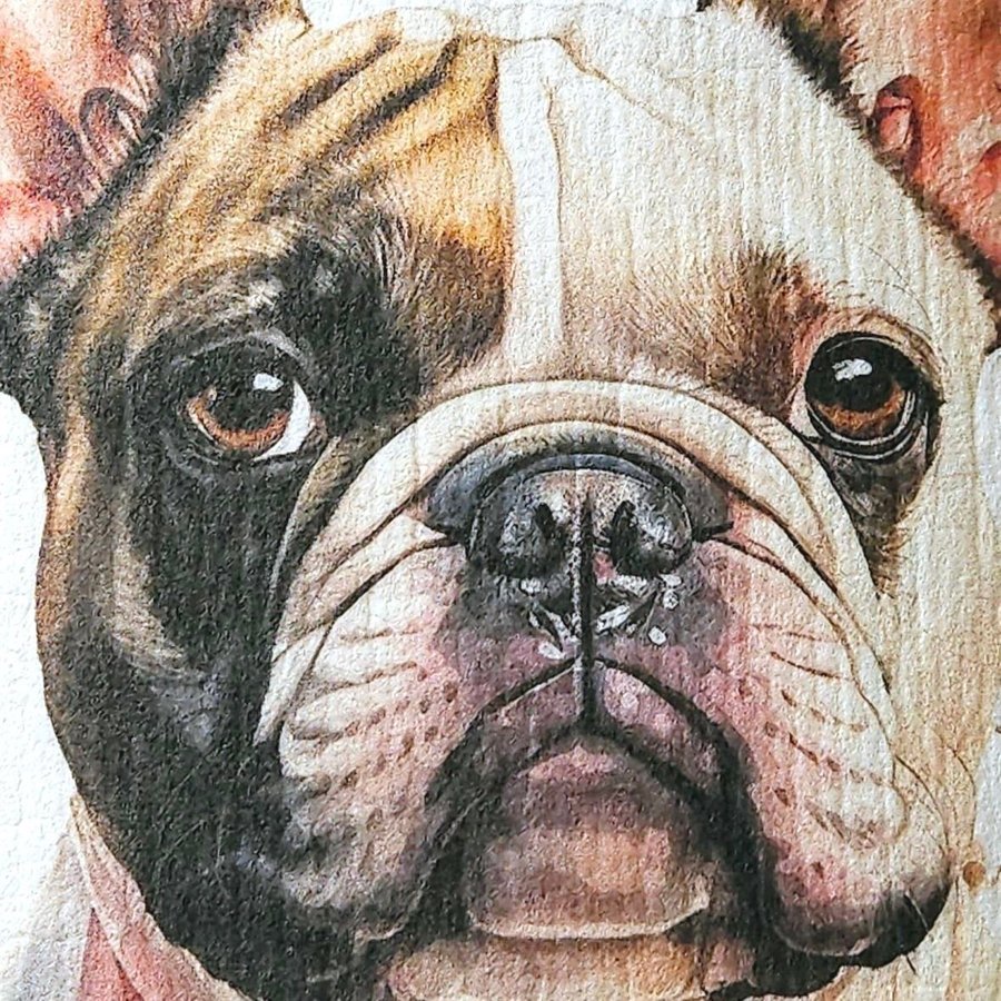 Disktrasa med tryck wettex print ursöt fransk bulldog