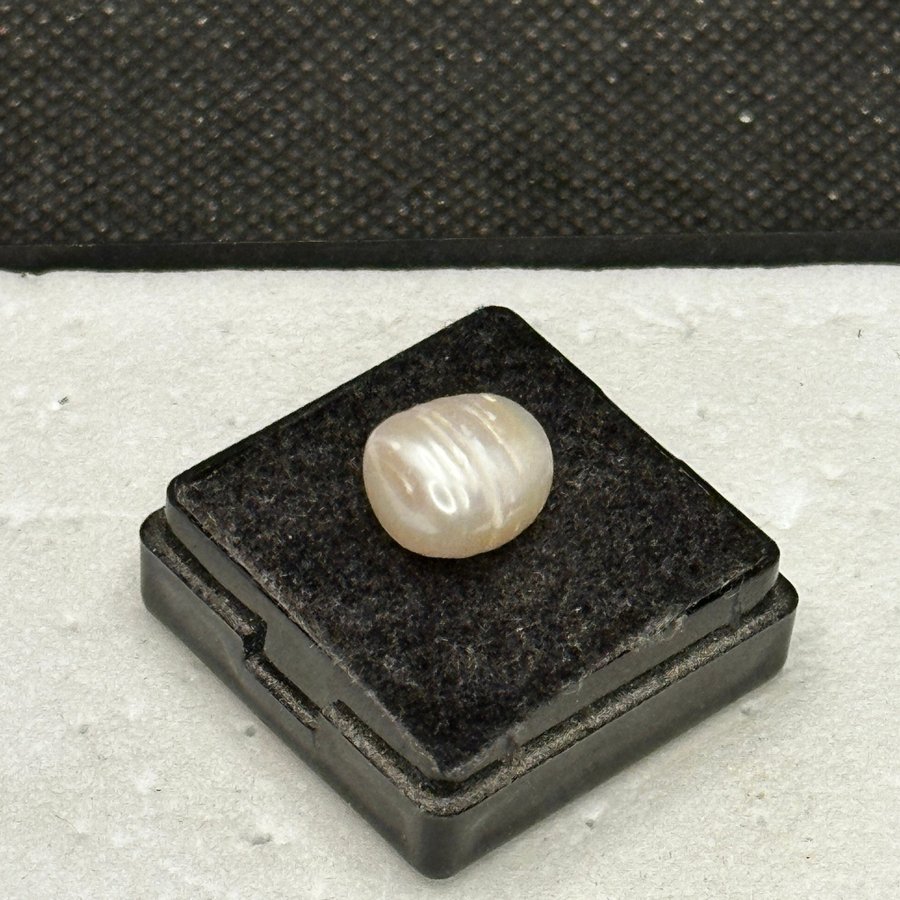 Natural Pearl 750 ct