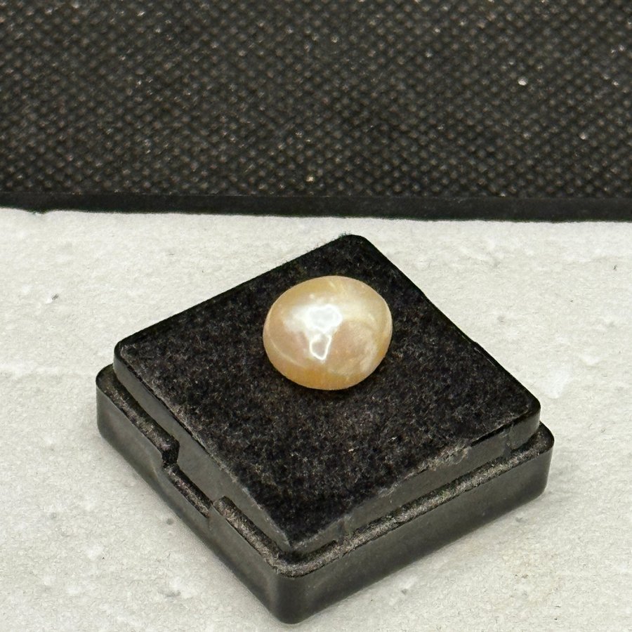 Natural Pearl 710 ct